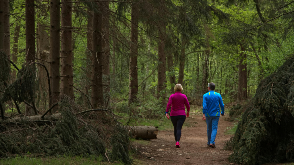 Mann und Frau spazieren im Wald
