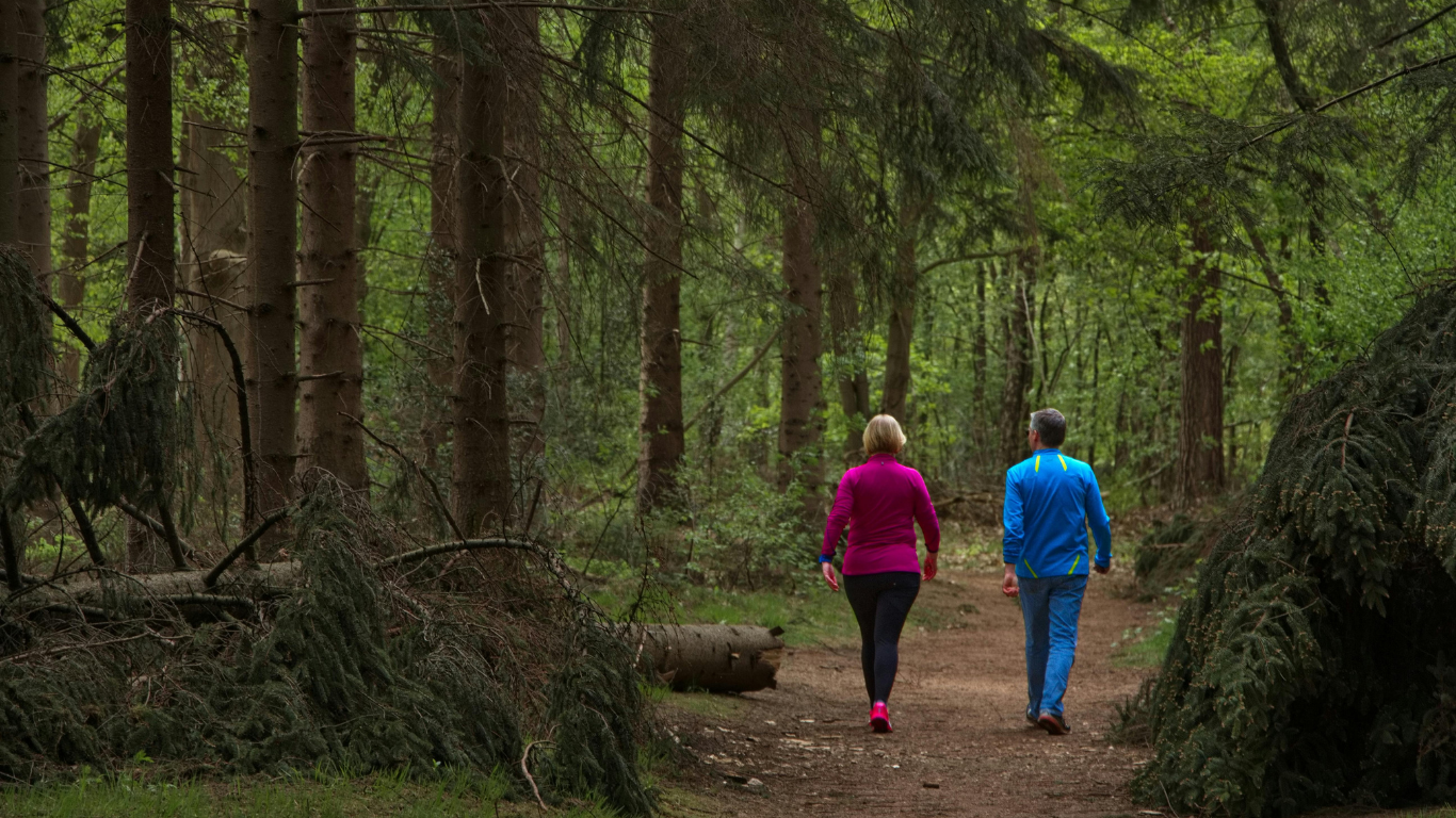 Mann und Frau spazieren im Wald